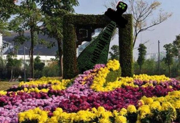 上海菊花造型